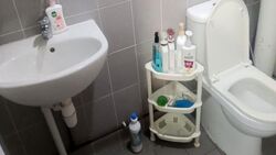 Blk 193 Bishan Spring (Bishan), HDB 3 Rooms #565613661